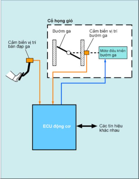 Hệ thống điều khiển bướm ga điện tử ETCS-i
