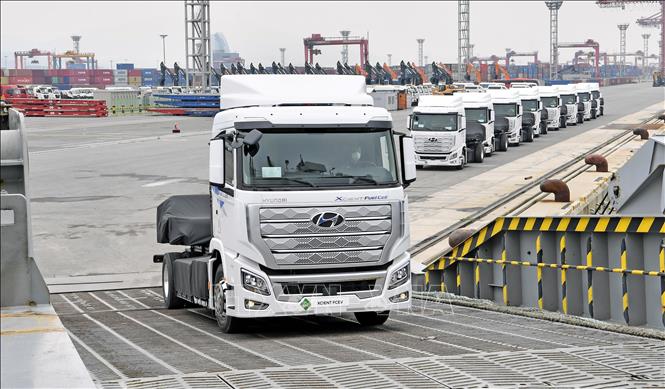 Những chiếc xe tải chạy bằng hydro chuẩn bị xuất cảng Gwangyang, thành phố Gwangyang, tỉnh Nam Jeolla, Hàn Quốc ngày 6/7/2020. 