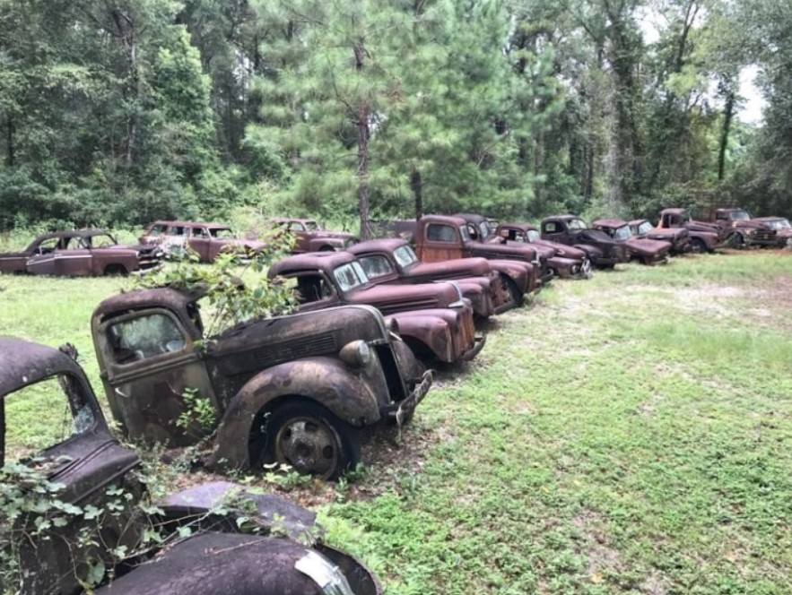 Hàng trăm chiếc xe đều đã mục nát trong khu nghĩa địa gần Crawfordville, Florida (Mỹ). (Ảnh: Hotcars)