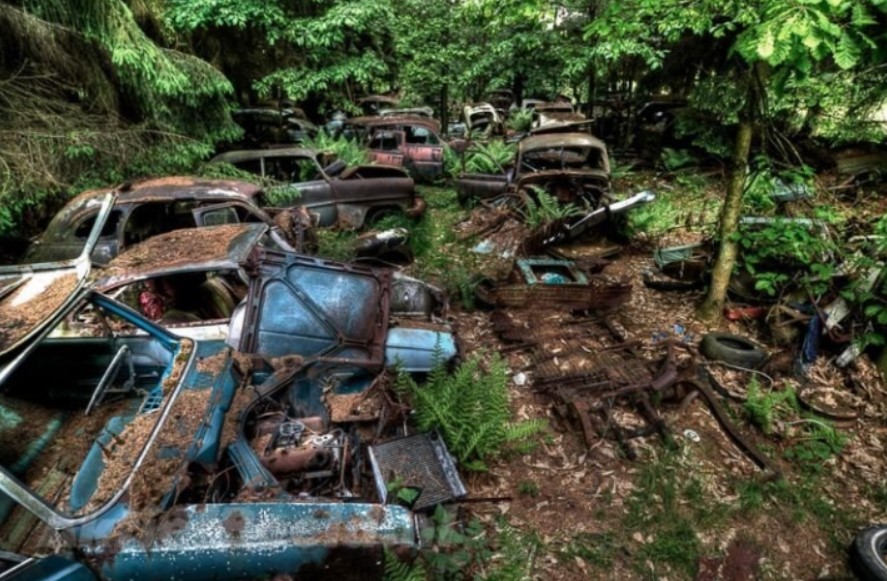 Một trong những nghĩa địa ô tô đồ sộ nhất thế giới nằm ở Chatillon (Bỉ), ẩn sâu trong những khu rừng cổ thụ. (Ảnh: Hotcars)