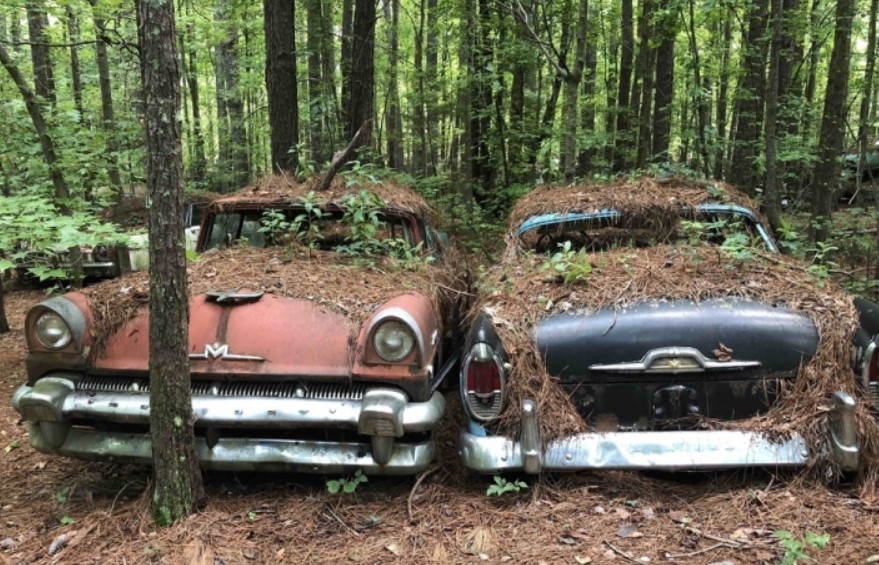 Nằm cách Atlanta hơn 80 km, ẩn mình trong rừng rậm ở bang Georgia (Mỹ), bãi xe ôtô phế thải Old Car City có hơn 4.000 chiếc xe cổ. Hầu hết chúng đều sản xuất từ năm 1972 hoặc trước đó, nằm rải rác trên gần 140.000 m2 rừng. (Ảnh: Hotcars)