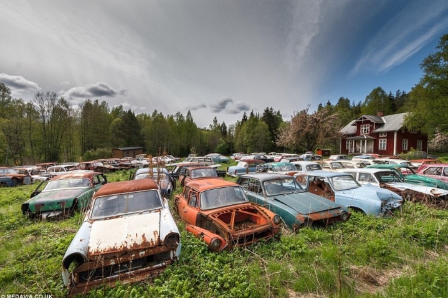 Nghĩa địa xe hơi quận Bastnas (Thụy Điển) có tới 1.000 chiếc ôtô cổ độc đáo. Những chiếc xe bị bỏ lại trong khu rừng từ năm 1980. (Ảnh: Hotcars)