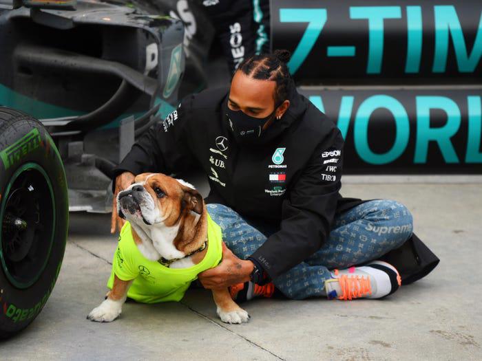 Roscoe, chú chó Bulldog giống Anh của Hamilton, đã xuất hiện bên cạnh chủ nhân của mình trong các cuộc đua F1 nhiều năm qua.
